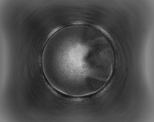 X0000086291329200704131538