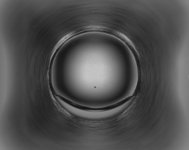 X0000086291330200704131538