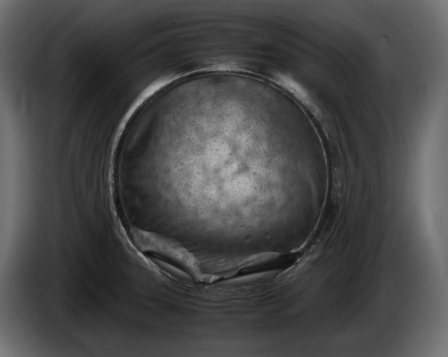 X0000086291331200704131538