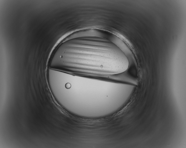 X0000086291332200704131538
