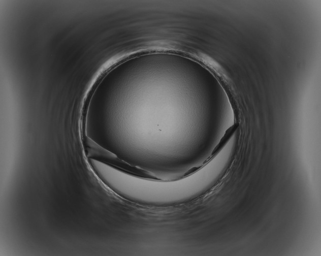 X0000086291334200704131538
