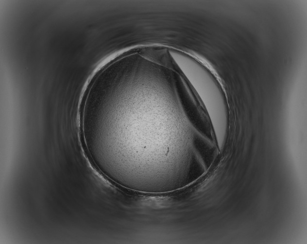 X0000086291335200704131539
