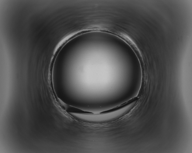 X0000086291336200704131539