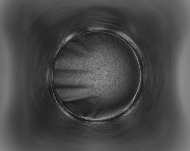 X0000086291337200704131539
