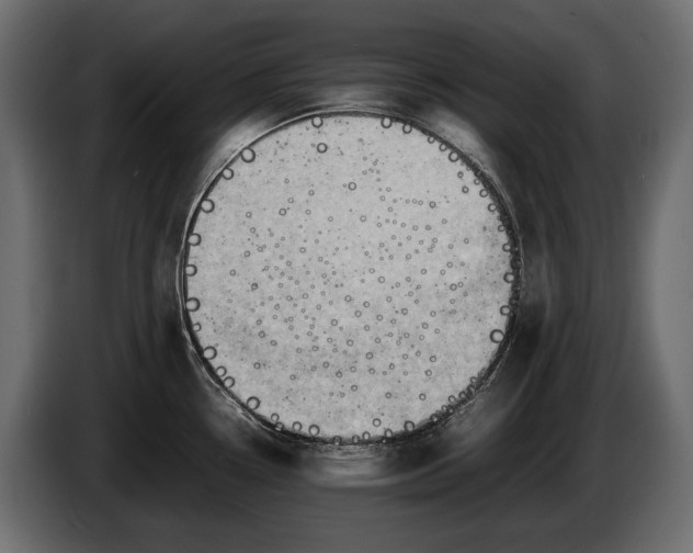 X0000086291338200704131539