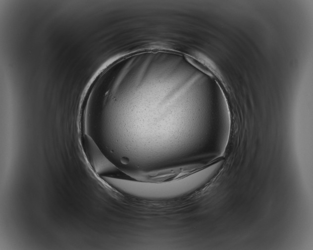 X0000086291339200704131539