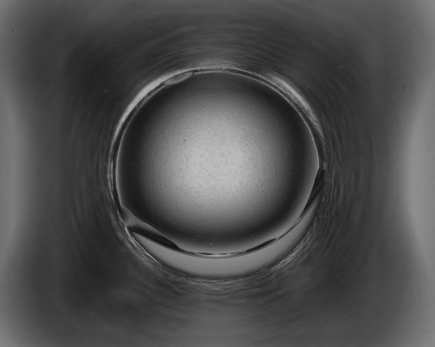 X0000086291340200704131539