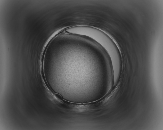 X0000086291341200704131539