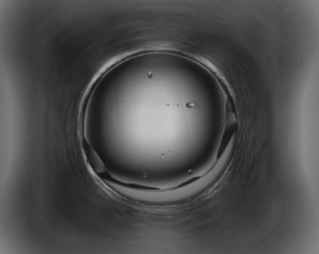 X0000086291342200704131539
