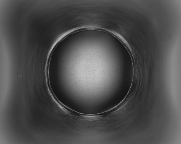 X0000086291343200704131539