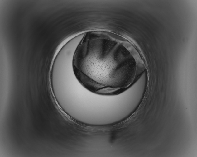 X0000086291344200704131539