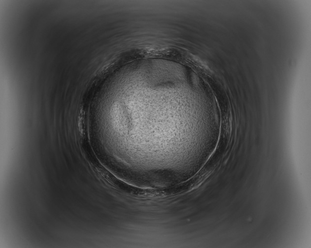 X0000086291346200704131538