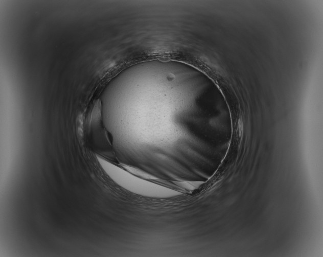 X0000086291348200704131538