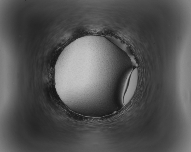X0000086291349200704131538