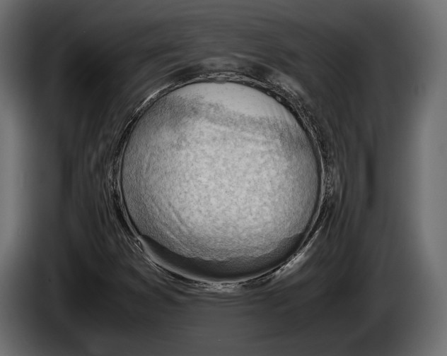 X0000086291353200704131538
