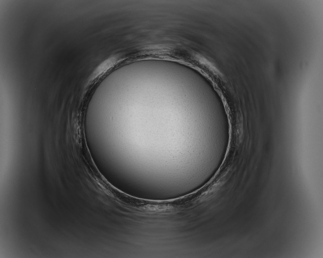 X0000086291354200704131538