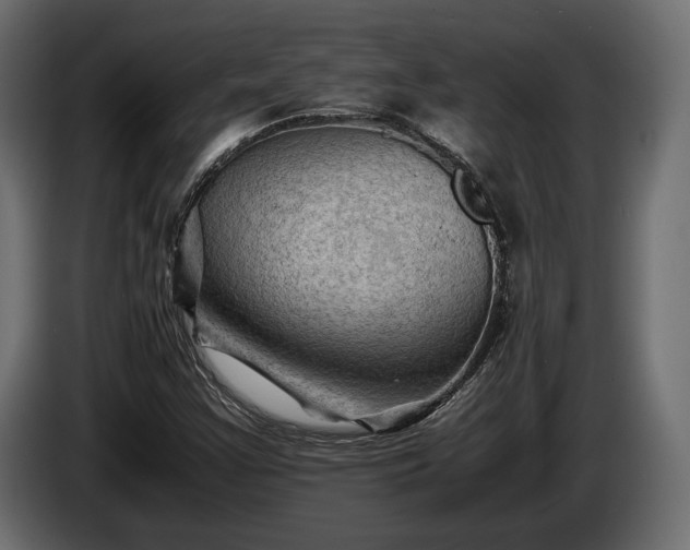 X0000086291355200704131538
