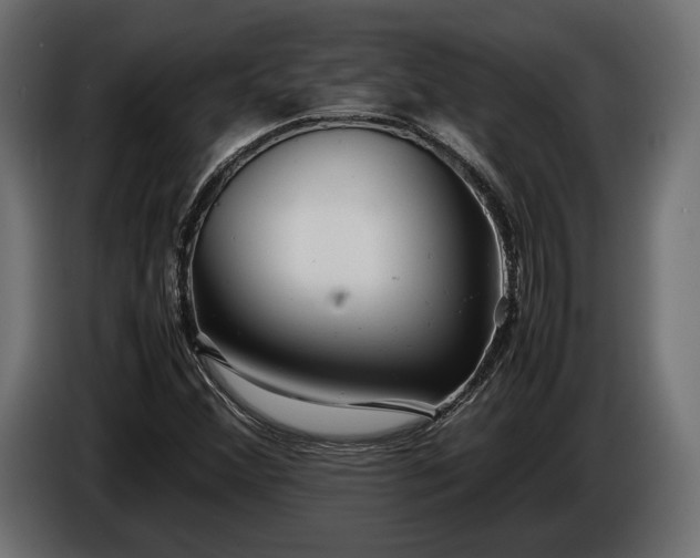 X0000086291356200704131538