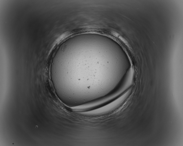 X0000086291357200704131538