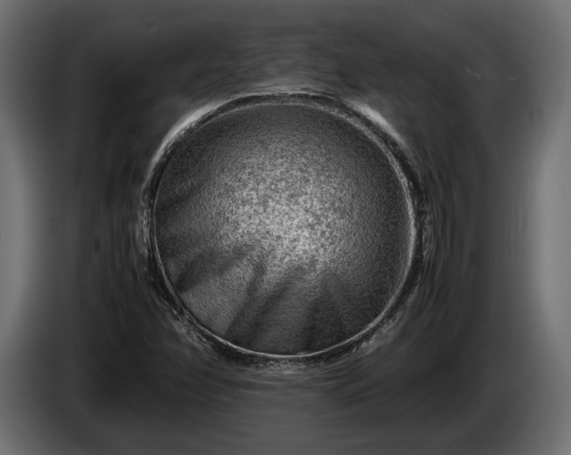 X0000086291358200704131538