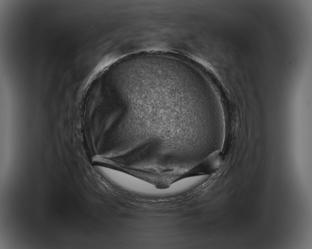 X0000086291359200704131538