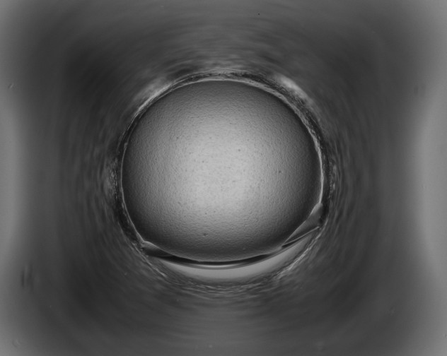 X0000086291361200704131538