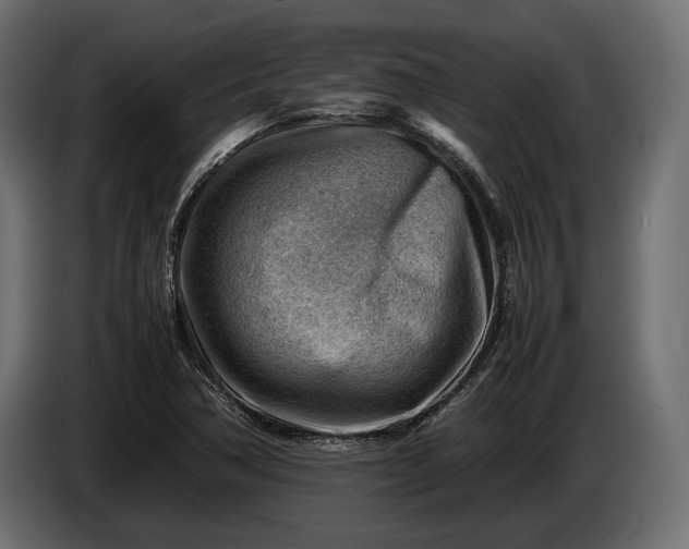 X0000086291362200704131538