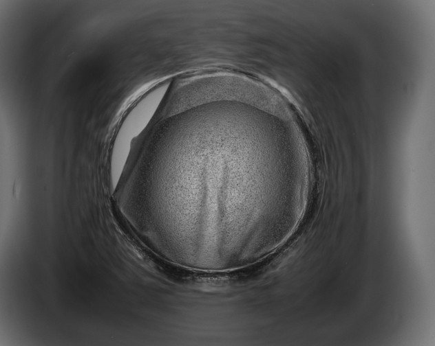 X0000086291363200704131538