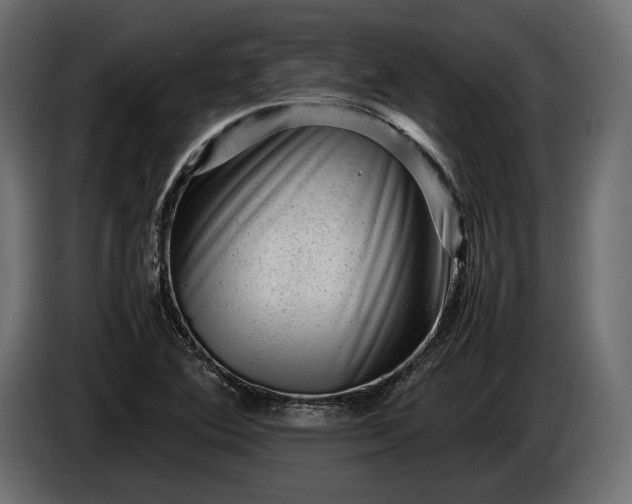 X0000086291364200704131538