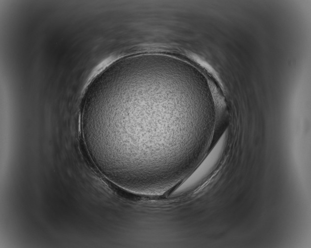 X0000086291365200704131538