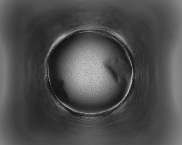 X0000086291366200704131538
