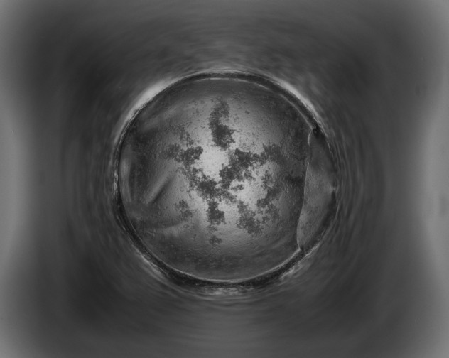 X0000086291367200704131538