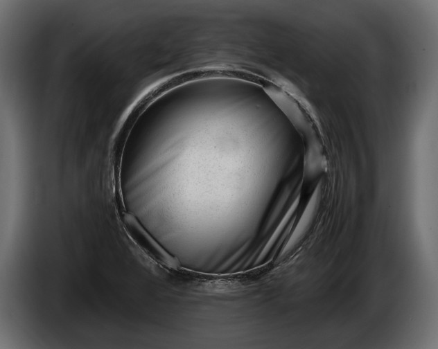 X0000086291368200704131538