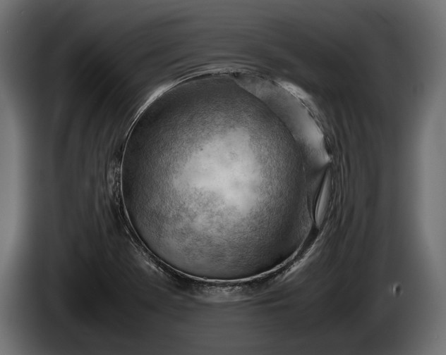 X0000086291369200704131538