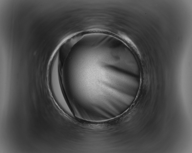 X0000086291376200704131537