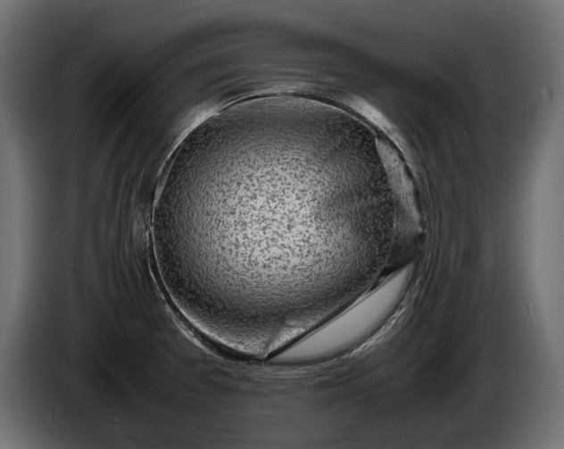 X0000086291377200704131537