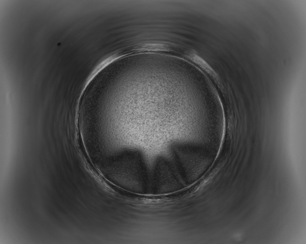 X0000086291378200704131537