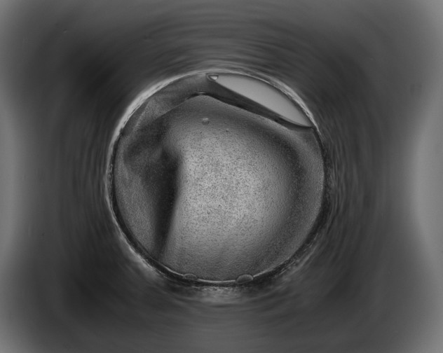 X0000086291379200704131537