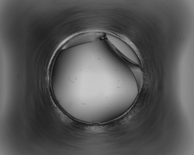 X0000086291380200704131537