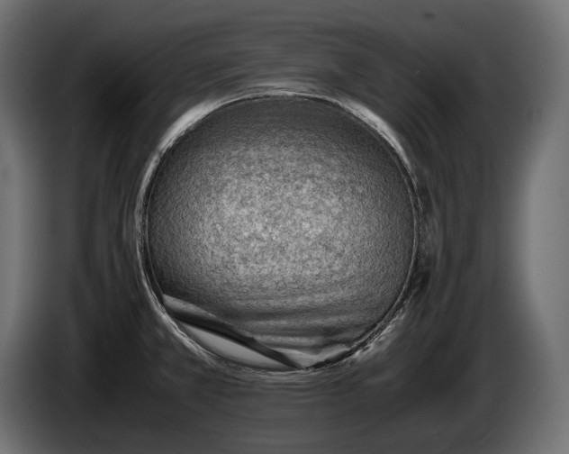 X0000086291381200704131537