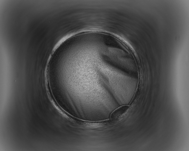 X0000086291382200704131537