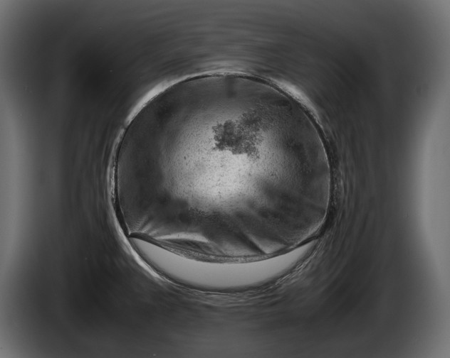 X0000086291383200704131537