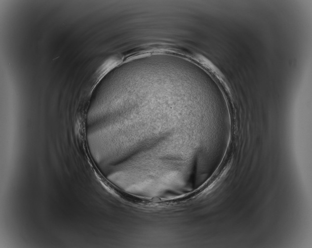X0000086291385200704131537