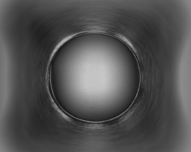 X0000086291387200704131537