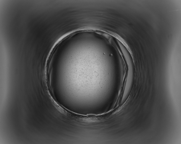 X0000086291388200704131537