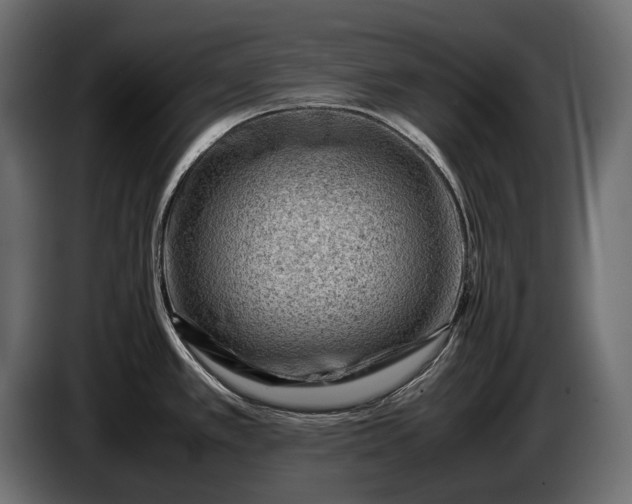 X0000086291389200704131537
