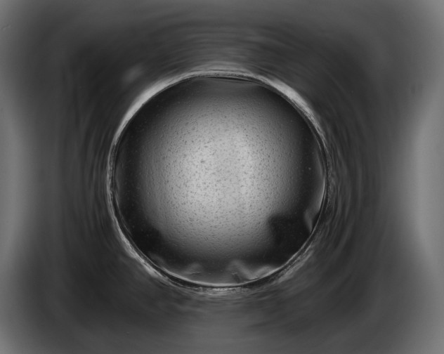 X0000086291390200704131537