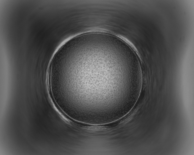 X0000086291391200704131537