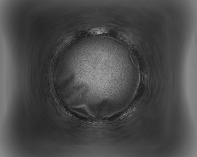 X0000086291393200704131537