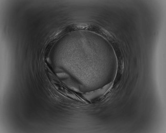 X0000086291394200704131537
